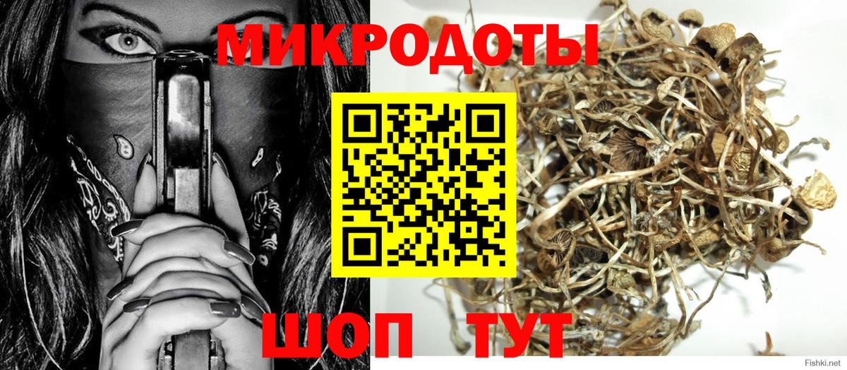 Галлюциногенные грибы прущие грибы Ноябрьск