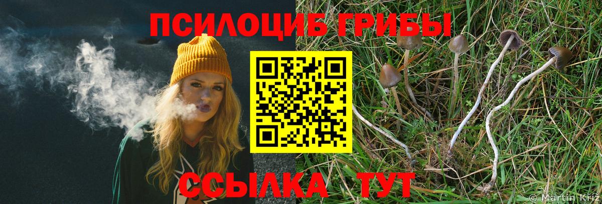 Галлюциногенные грибы ЛСД  Вход с VPN  Ноябрьск 