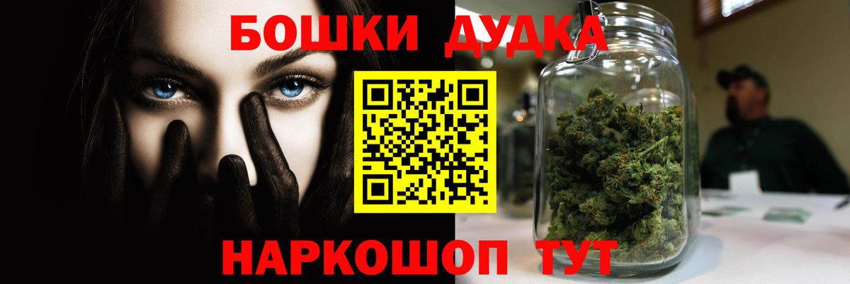 Шишки марихуана планчик Ноябрьск